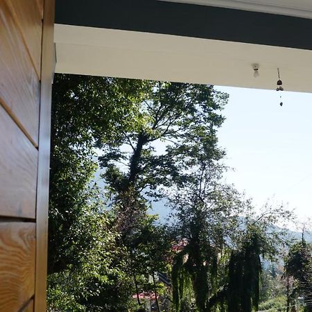 Angela'S Boutique Homes Dharamkot Dharamshala Bagian luar foto