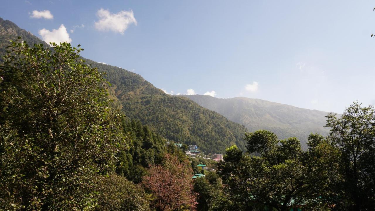 Angela'S Boutique Homes Dharamkot Dharamshala Bagian luar foto