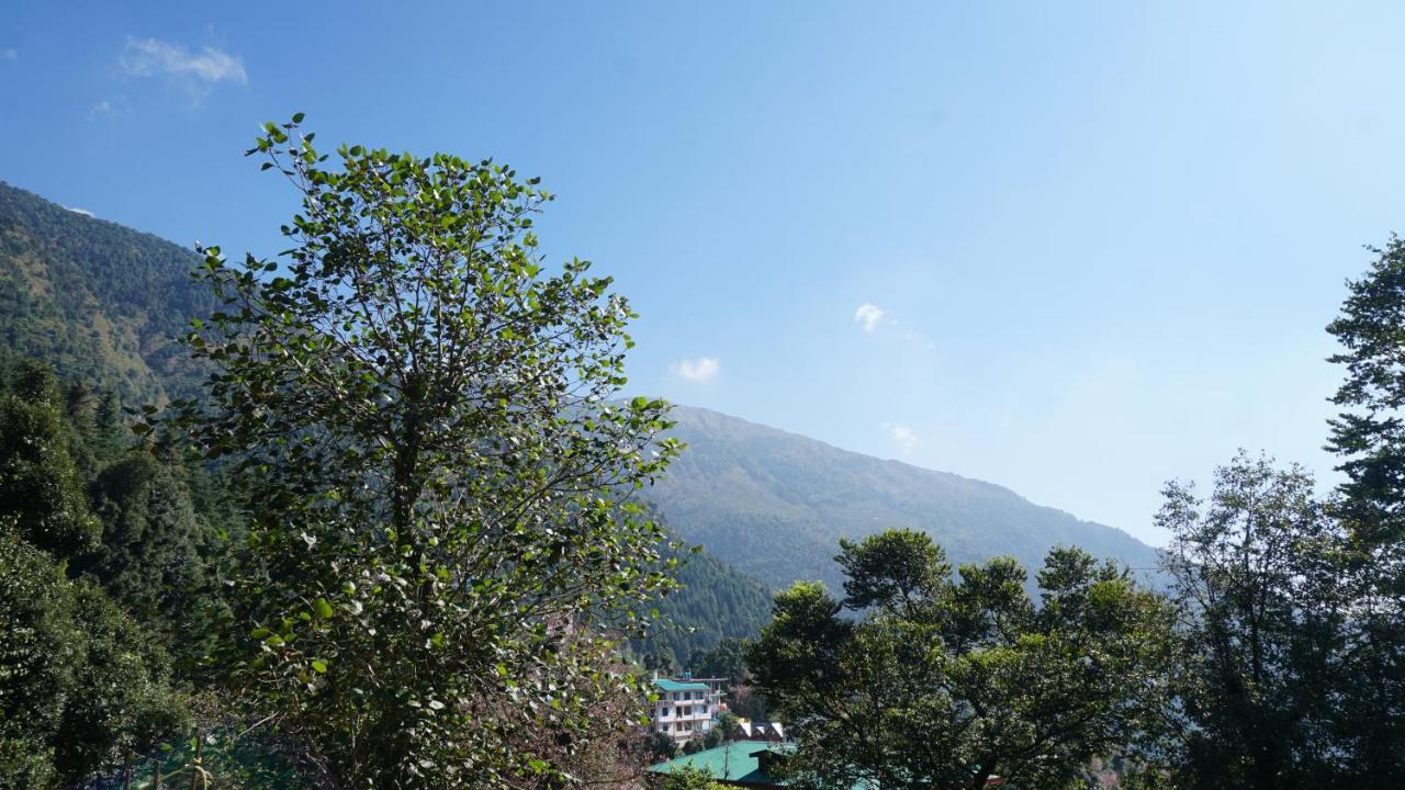 Angela'S Boutique Homes Dharamkot Dharamshala Bagian luar foto